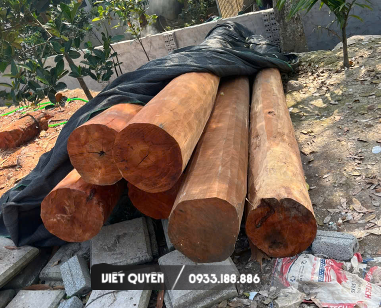 Lô cột gỗ lim xanh Thanh Hóa đẻo sách rác