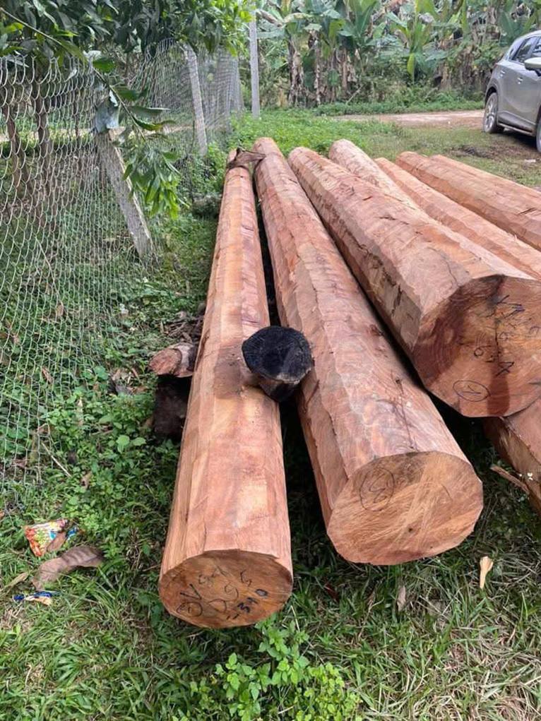 Quy trình xử lý chuẩn giúp gỗ: