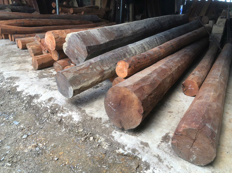 Các bước xử lý gỗ lim Thanh Hóa