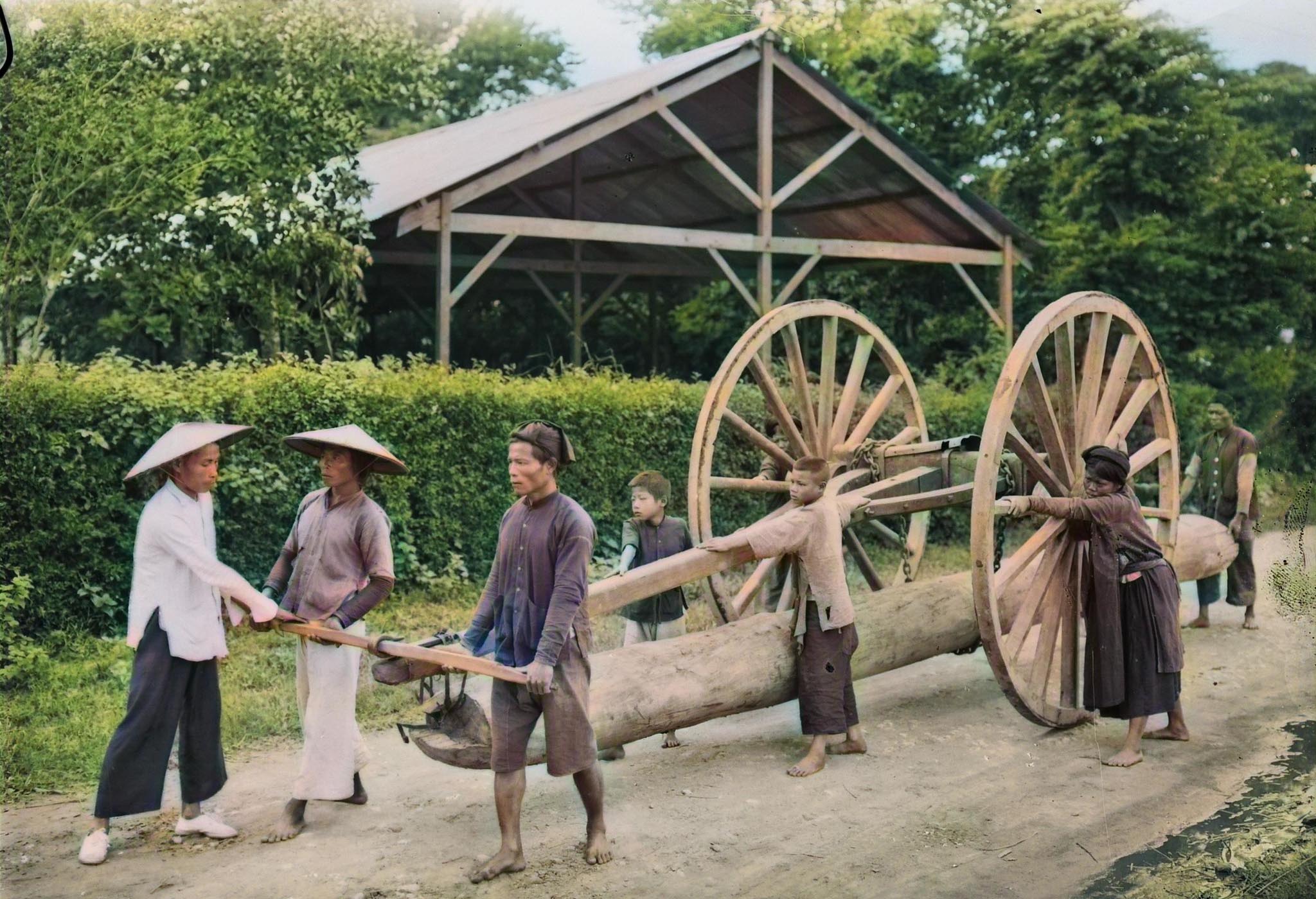 Giá Gỗ Lim Xanh Thanh Hóa 2025 – Cập Nhật Từ Xưởng Gỗ PHONG KIẾN