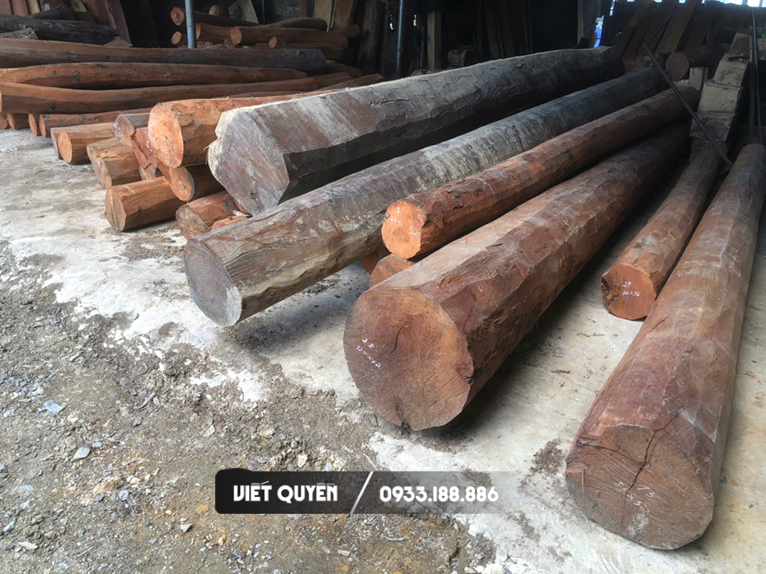 Gỗ Lim Xanh Thanh Hóa Là Gì? Đặc Điểm Và Giá Trị Khi Làm Nhà Gỗ
